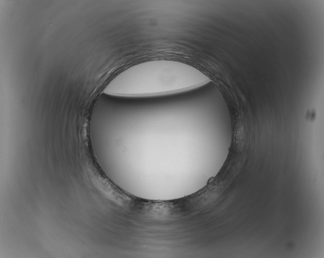 X0000113210282200909100954