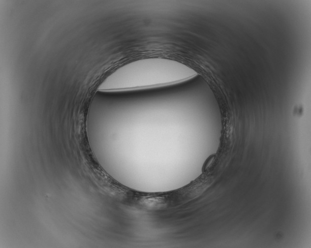 X0000113210283200909100954