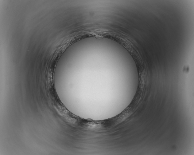 X0000113210284200909100954