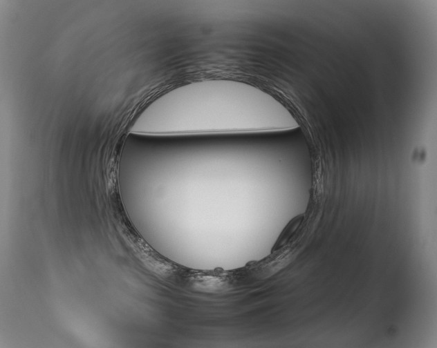 X0000113210285200909100954