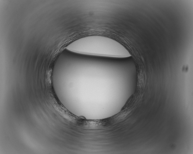 X0000113210286200909100954