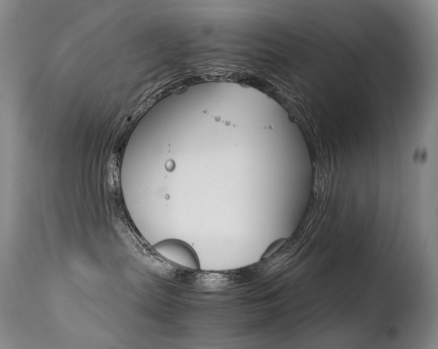 X0000113210287200909100954