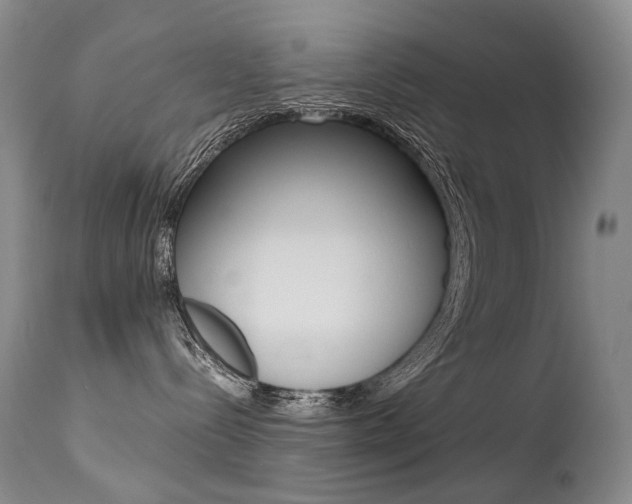 X0000113210288200909100954