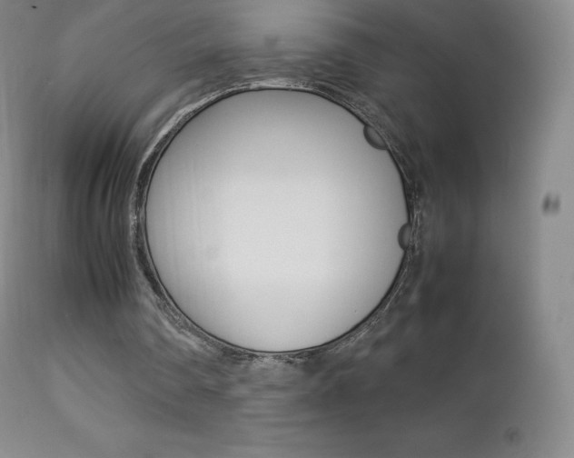 X0000113210290200909100953