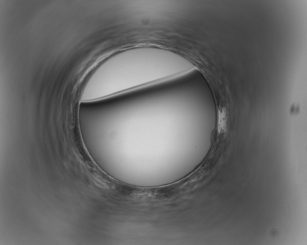 X0000113210291200909100953