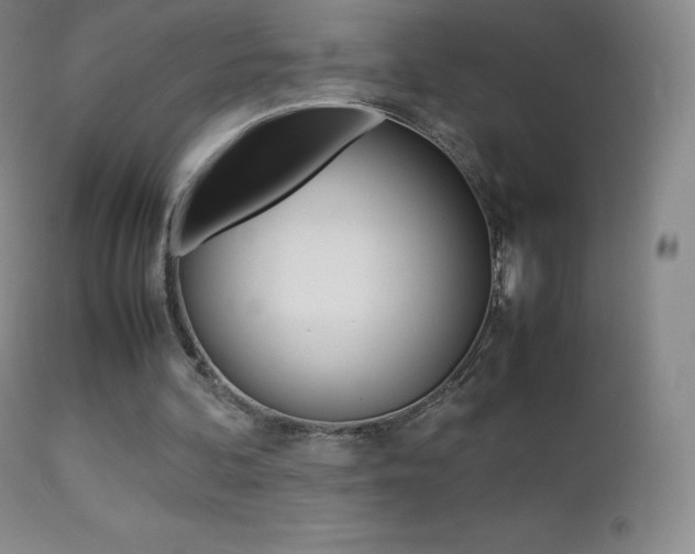 X0000113210292200909100953