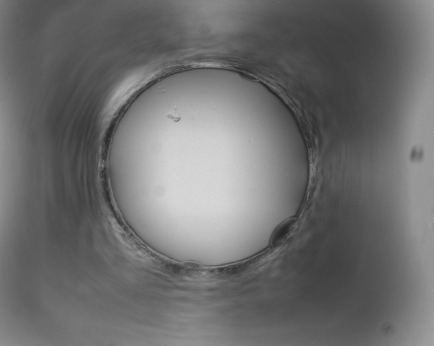 X0000113210293200909100953