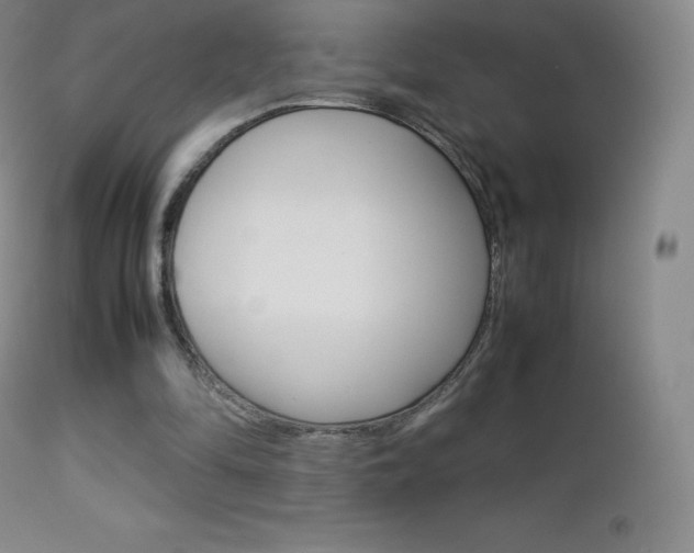 X0000113210294200909100953