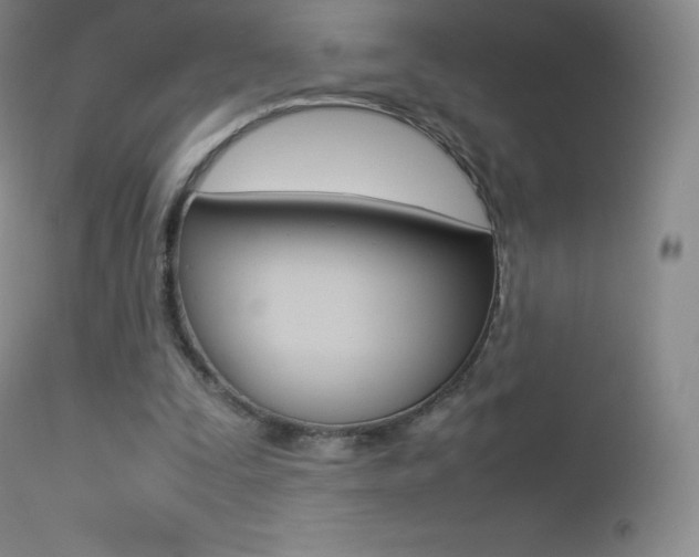 X0000113210295200909100953