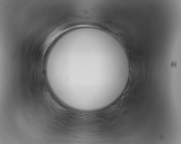 X0000113210296200909100953