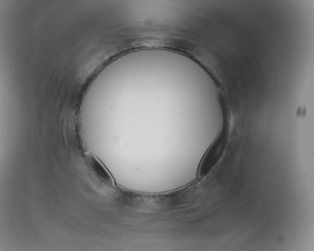 X0000113210297200909100953