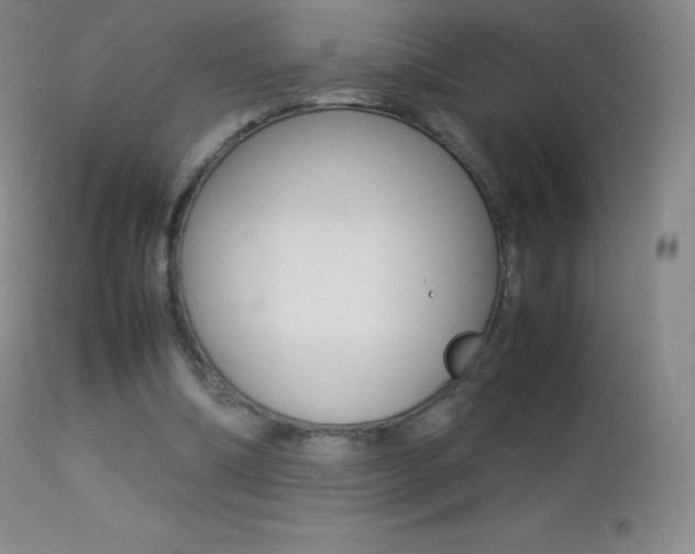 X0000113210298200909100953
