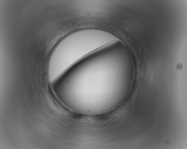 X0000113210299200909100953
