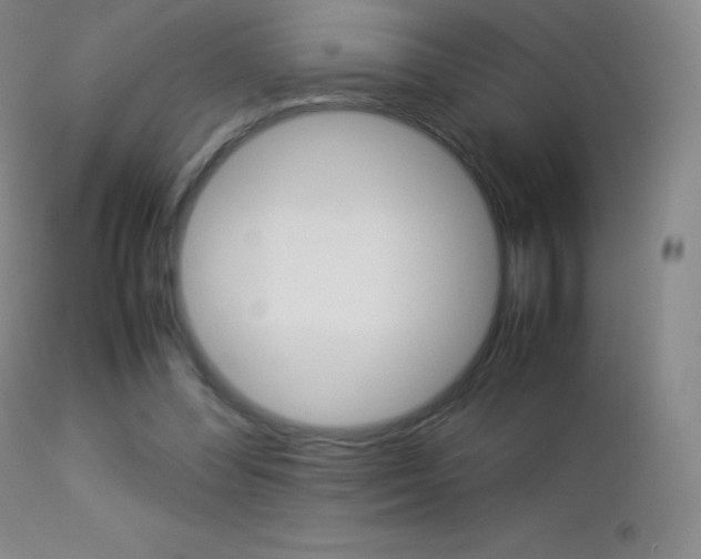 X0000113210300200909100953