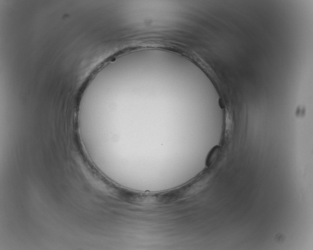 X0000113210301200909100953