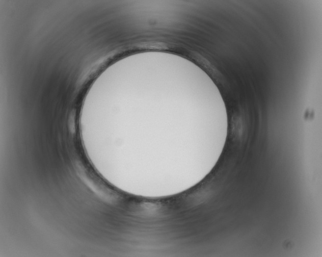 X0000113210302200909100953