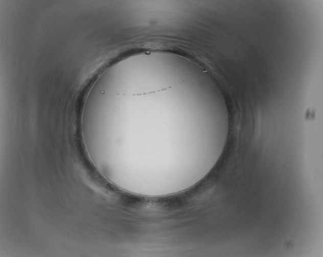 X0000113210303200909100953