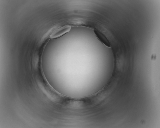 X0000113210304200909100953