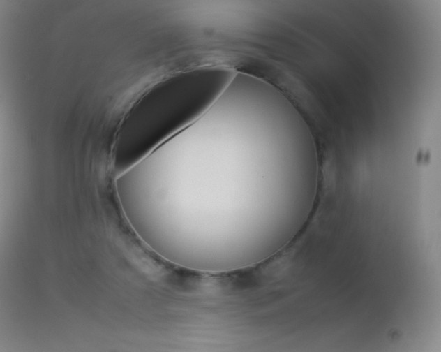 X0000113210305200909100953