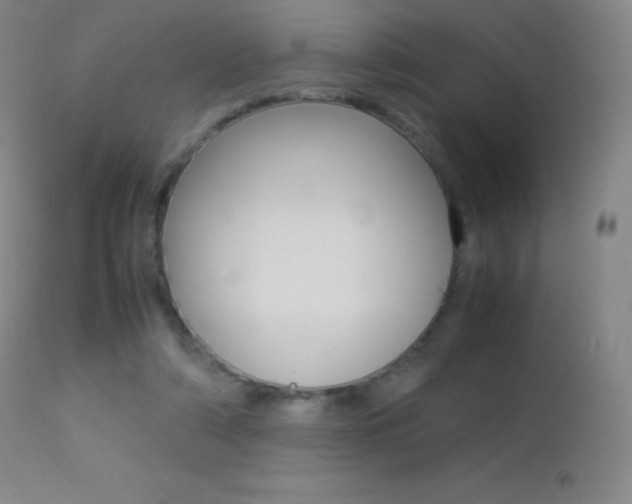 X0000113210306200909100953