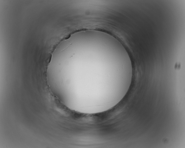 X0000113210307200909100953