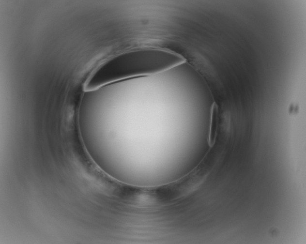 X0000113210308200909100953