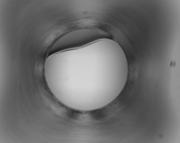 X0000113210309200909100953
