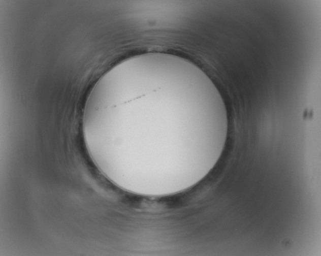 X0000113210311200909100953