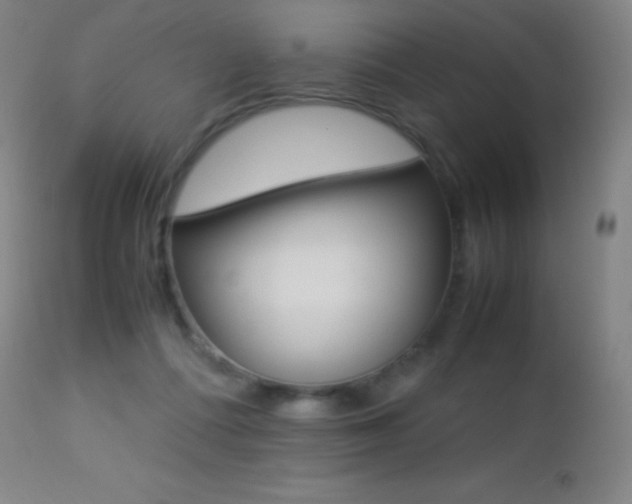 X0000113210312200909100953