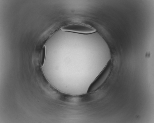 X0000113210313200909100953