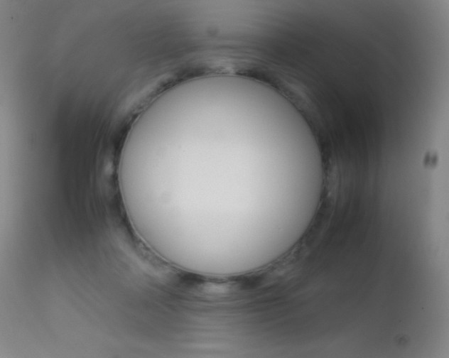 X0000113210314200909100953