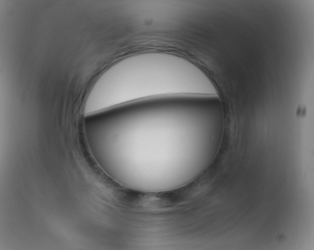 X0000113210315200909100953