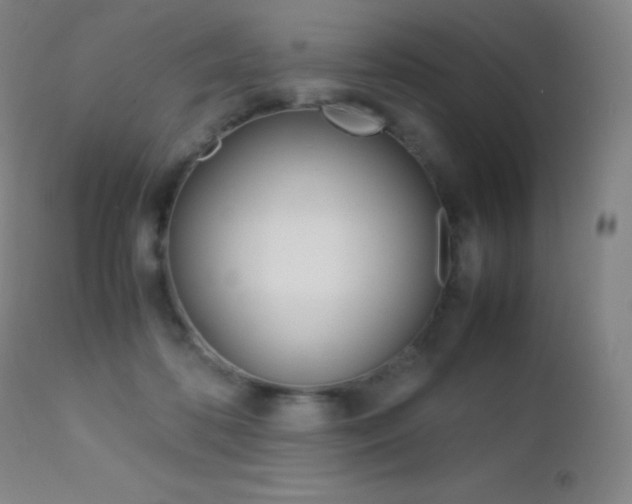 X0000113210316200909100953