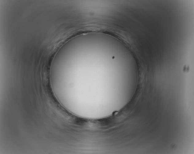 X0000113210317200909100953
