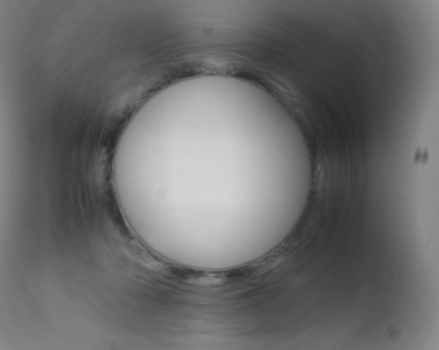 X0000113210318200909100953