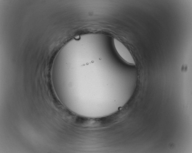 X0000113210319200909100953