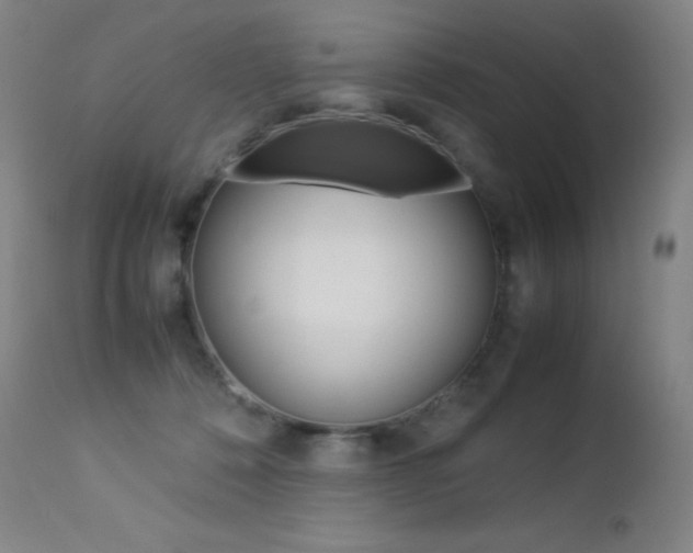 X0000113210320200909100953