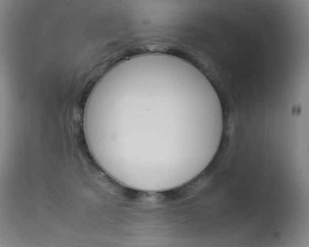 X0000113210321200909100953