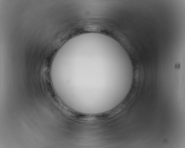 X0000113210322200909100953