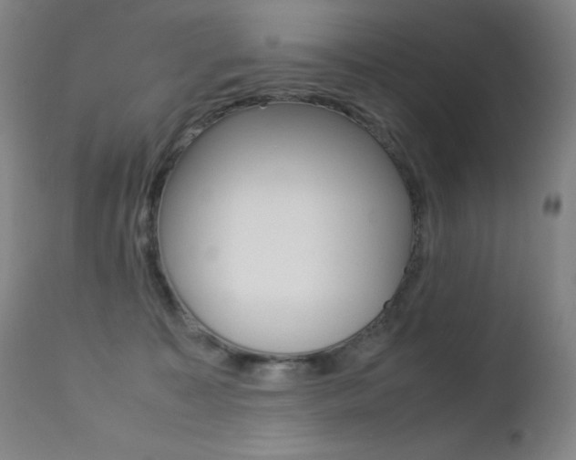 X0000113210323200909100953