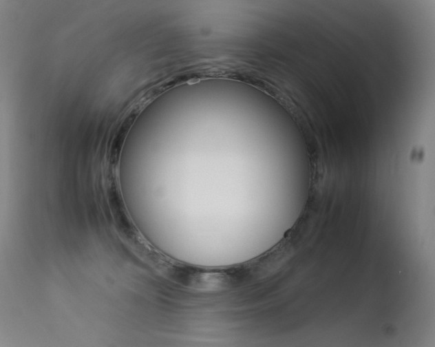 X0000113210324200909100953