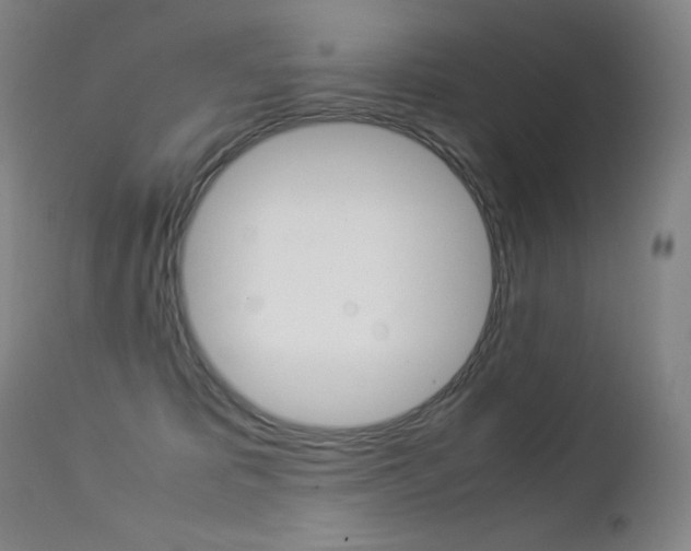 X0000113210325200909100953