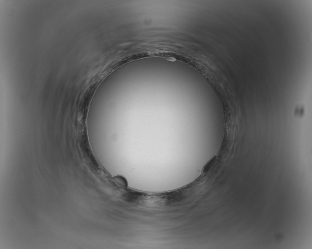 X0000113210327200909100953