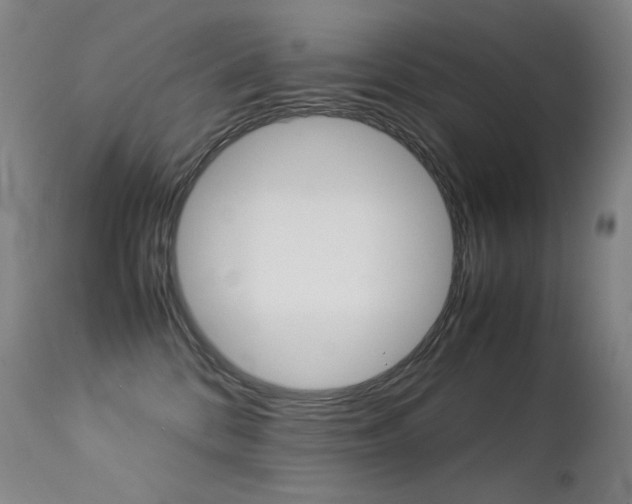X0000113210328200909100953