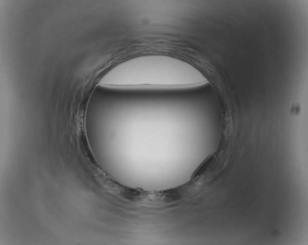 X0000113210329200909100953
