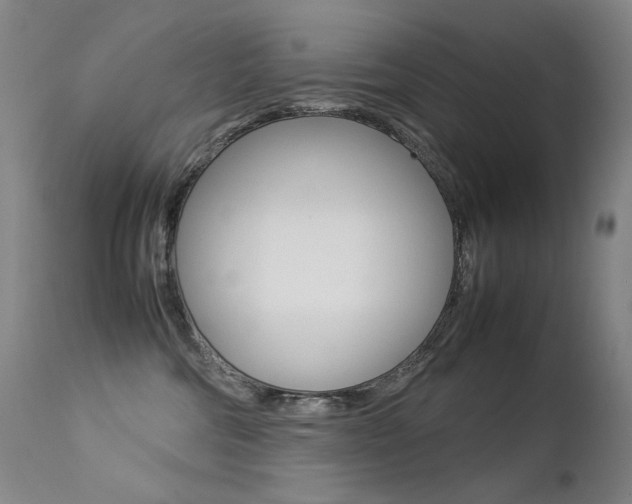 X0000113210330200909100953