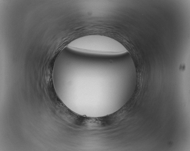 X0000113210331200909100953