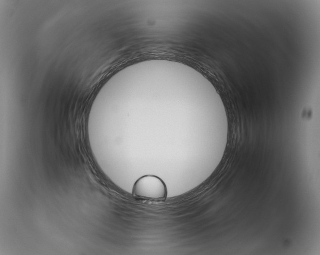 X0000113210332200909100953
