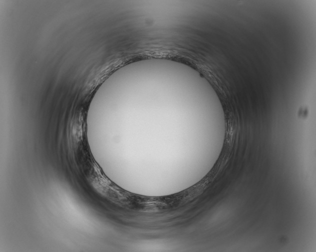 X0000113210334200909100953