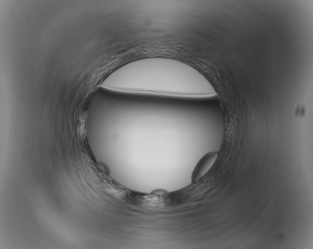 X0000113210335200909100953